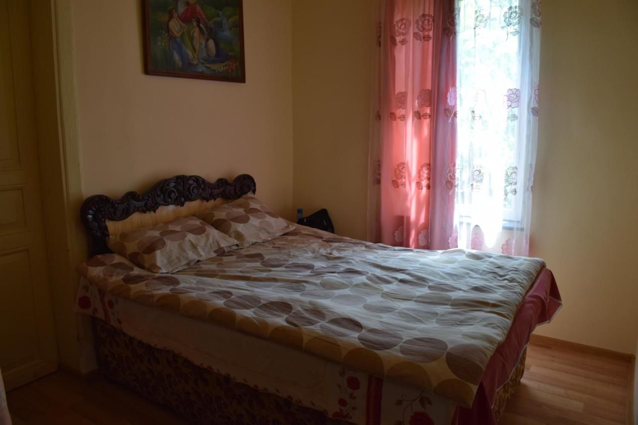 Гостевой дом Medico and Suliko Guest House Кутаиси-28