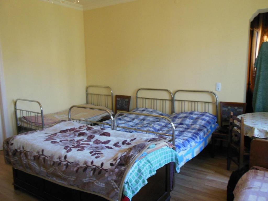 Гостевой дом Medico and Suliko Guest House Кутаиси-51