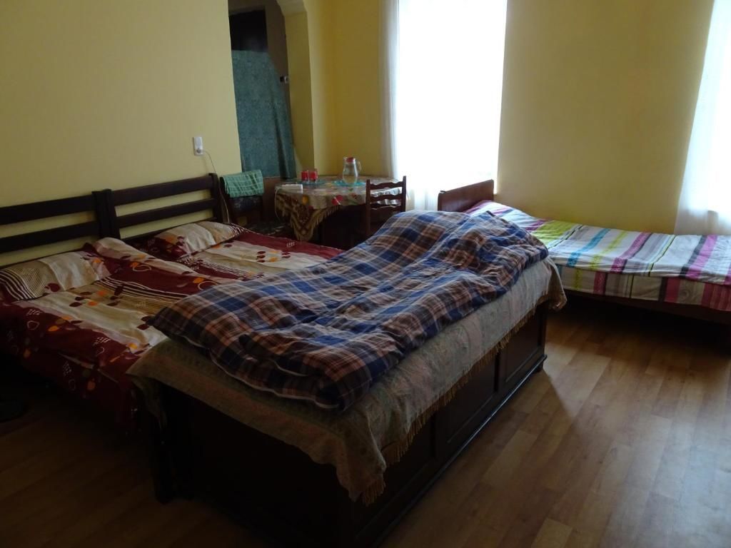 Гостевой дом Medico and Suliko Guest House Кутаиси-53